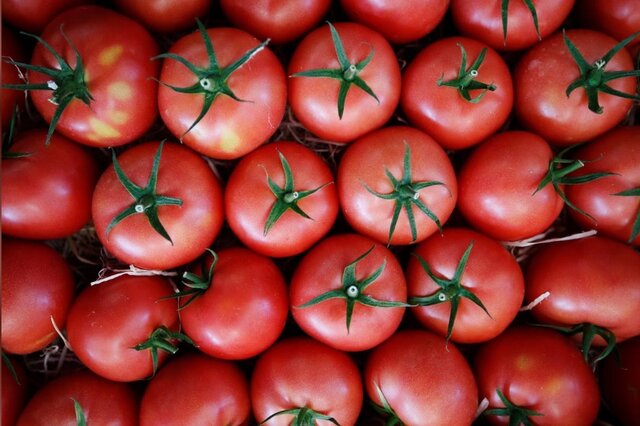 کاهش قیمت جهانی مواد غذایی رکورد زد کاهش قیمت جهانی مواد غذایی رکورد زد