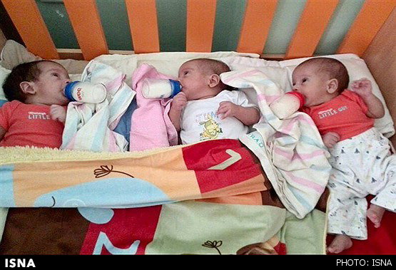 ارائه خدمات کمیته امداد به خانواده‌های دارای سه قلو و بالاتر
