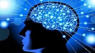 برترین‌های دو مسابقه حوزه مغز معرفی شدند