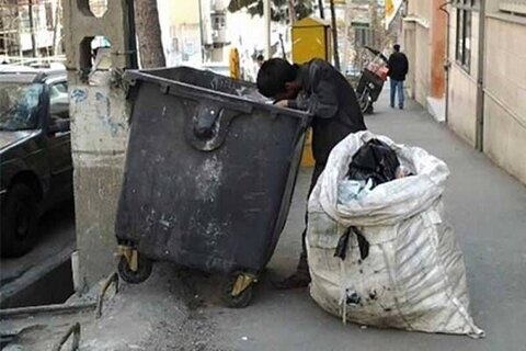 شناسایی ۲۴۰ زباله گرد در اراک/نقشه آلودگی جوندگان و سگ‌های ولگرد تهیه می‌شود