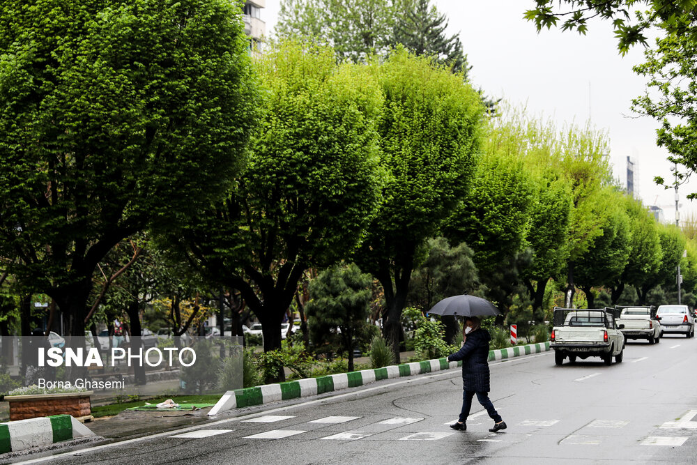 بارش باران و وزش باد شدید در برخی استان های کشور
