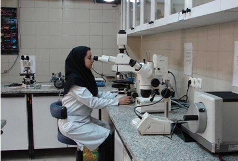 تولید دانش بومی و کاربست آن، از مهمترین مولفه های مرجعیت علمی است
