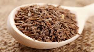 چند بورس تخصصی در حوزه گیاهان دارویی راه‌اندازی می‌شود