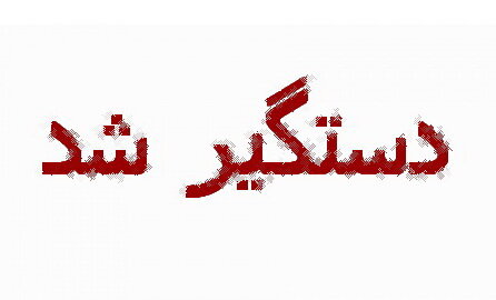 هفت تیرکش پردسیان در قم یک روزه دستگیر شد