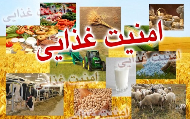 واگذاری دبیرخانه کنسرسیوم غذا و امنیت غذایی به دانشگاه آزاد اراک