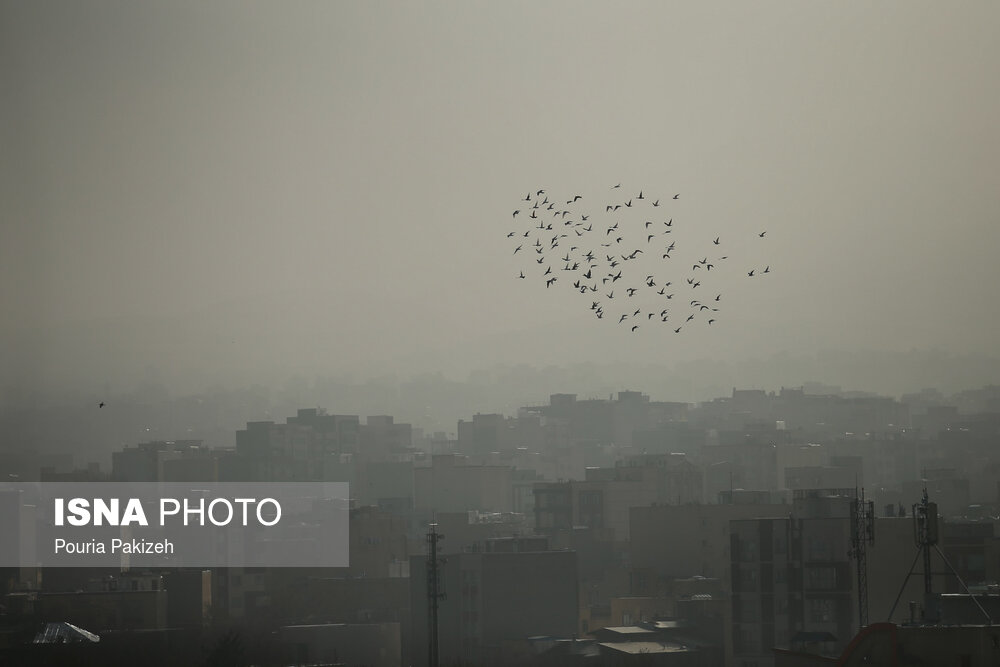 از کاهش غلظت ازن در تهران تا پیش‌بینی افزایش روزهای آلوده در پاییز