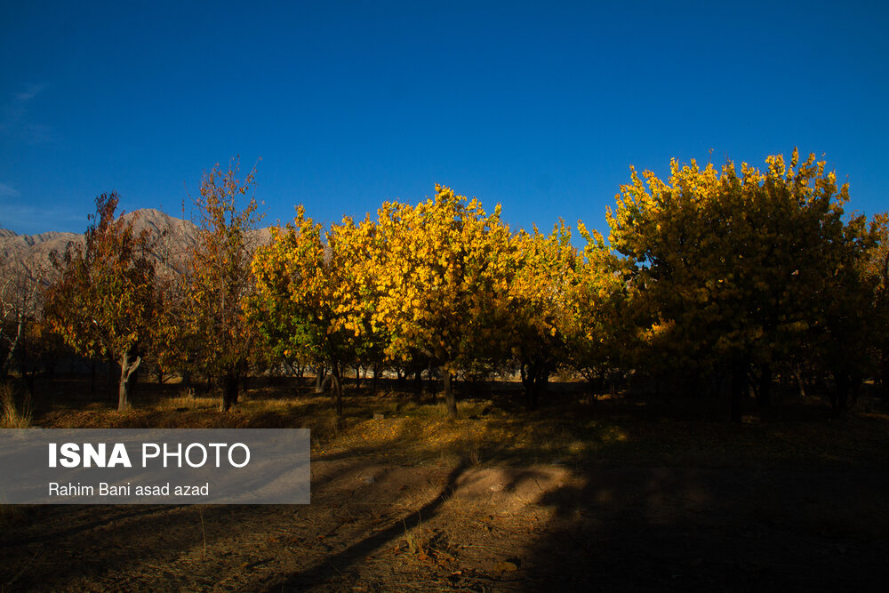 ایران زیباست؛ پاییز در روستای «سکنج» کرمان