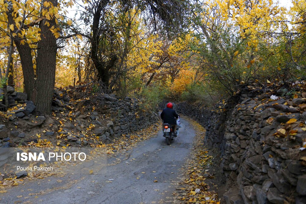 شناسایی و تملک چند باغ در تهران با اولویت مناطق کم برخوردار