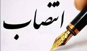 دبیر مؤسسه ملی توسعه تحقیقات علوم پزشکی ایران منصوب شد
