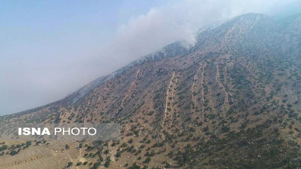 مهار کامل آتش سوزی جنگل‌های باشت