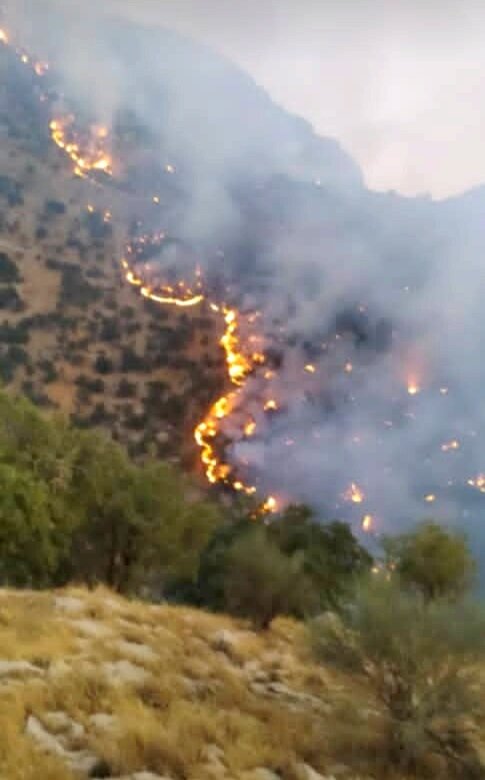 آتش گسترده در جنگل‌ها و مراتع «نارک» گچساران