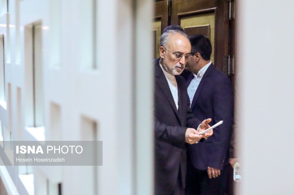 صالحی: سازمان انرژی اتمی حداکثر هوشمندی لازم را در مذاکرات و در متن برجام به خرج داد