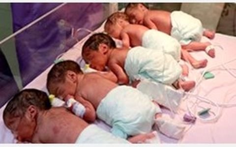 5قلوهای لارستانی زیرپوشش بهزیستی رفتند/پرداخت مستمری و حمایت از این خانواده