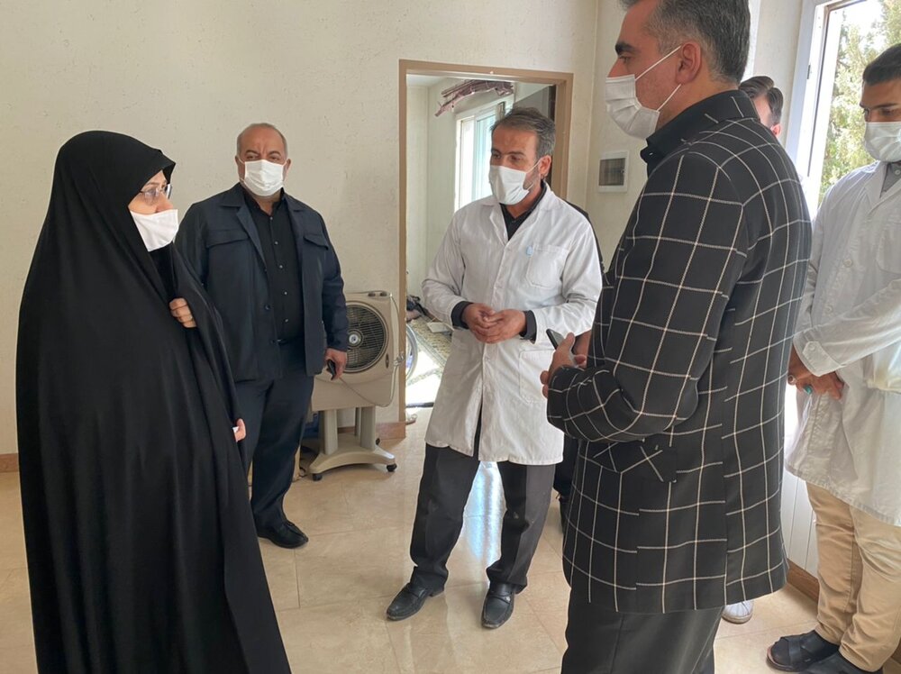 دیدار معاون زنان رئیس جمهور با تعدادی از جانبازان قطع نخاعی در روز اربعین