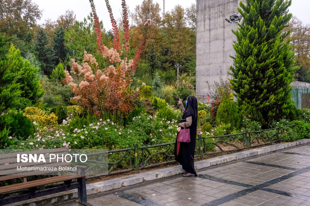 تهران پاییزی