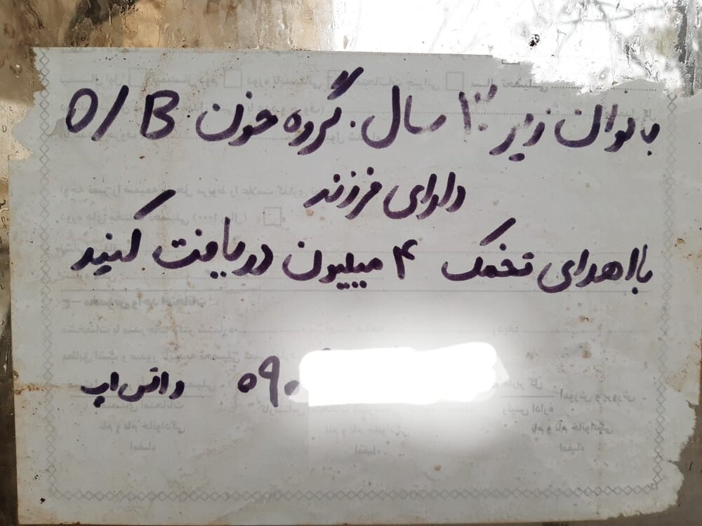 تجارت چراغ خاموش «اهدای تخمک»/معامله‌ای برای فروش «مادری»