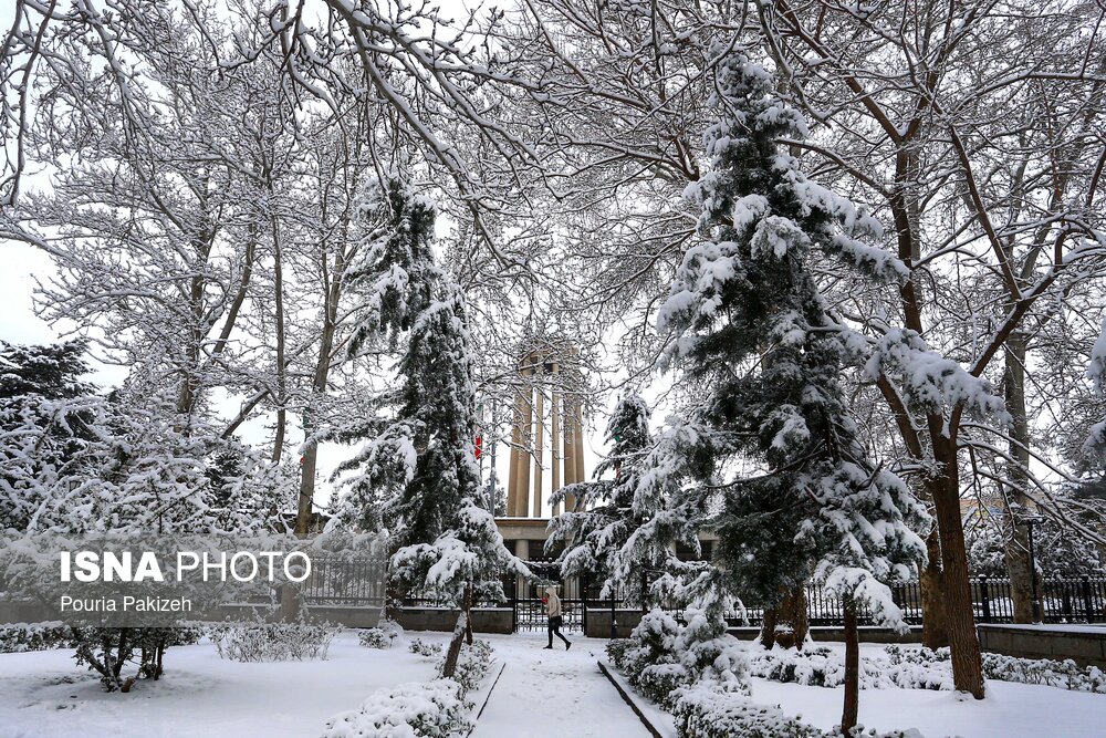 بارش برف و باران در نقاط مختلف کشور/ کاهش دما در شمال و شرق کشور