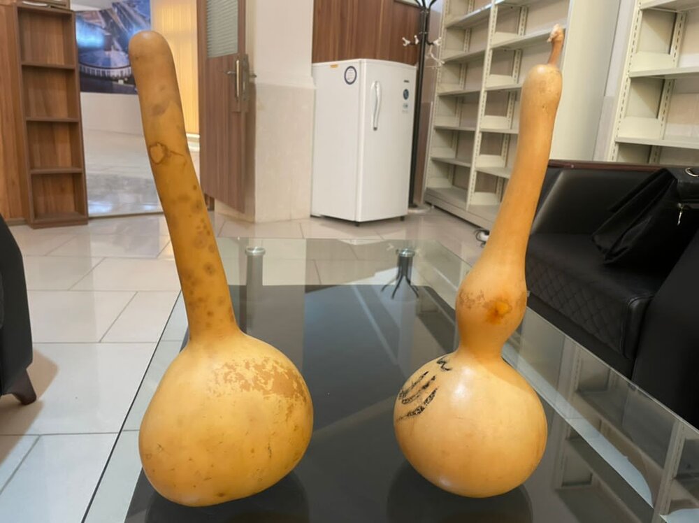 یک هرمزگانی ساز “شیکرا” را ابداع کرد