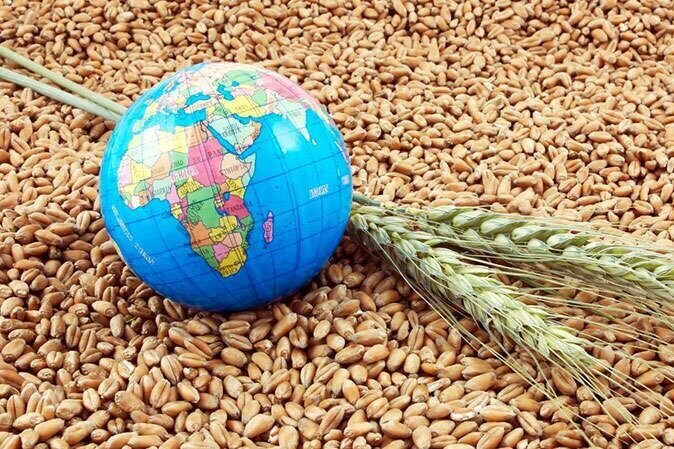 قحطی و گرسنگی در کمین مردم جهان؛ نیاز به تولید غذایی معادل غذای ۱۰ هزار سال اخیر | مرگ سالانه ۶۰۰ میلیون نفر با غذای آلوده؛ بیمار شدن ۴۰ درصد کودکان