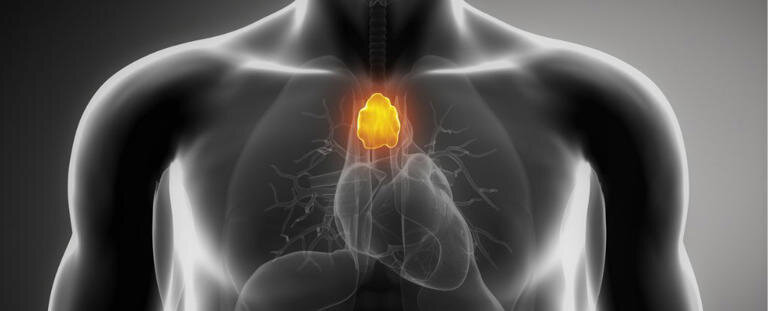 یک اندام به ظاهر «بی‌مصرف» بدن ممکن است به مقابله با سرطان کمک کند