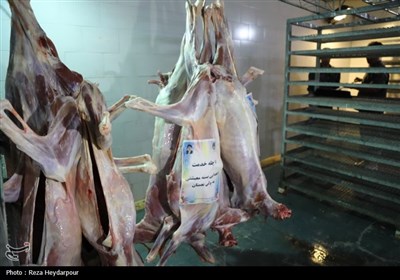 طرح جهش تولید گوشت قرمز در کشور اجرا می‌شود