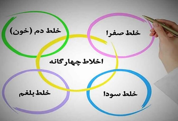 نظریه مهم پروفسور آمریکایی درباره ابن سینا