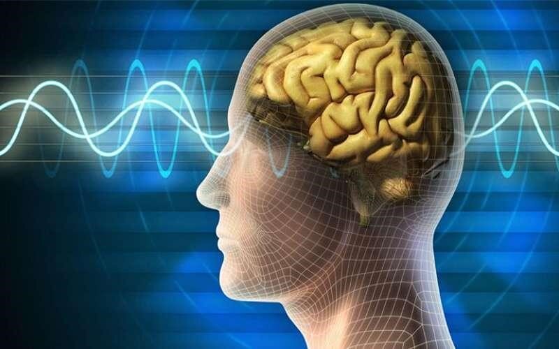 چرا مغز ما در مواجهه با استرس تصمیم‌های اشتباه می‌گیرد؟