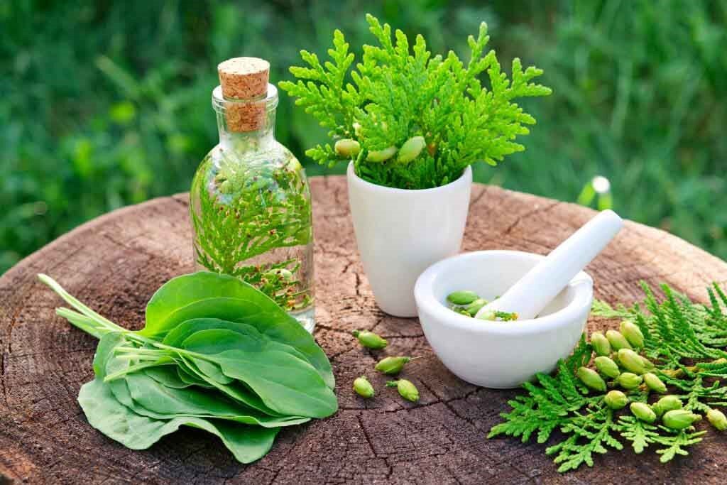 توصیه‌های طب سنتی برای فصل‌های مختلف سال