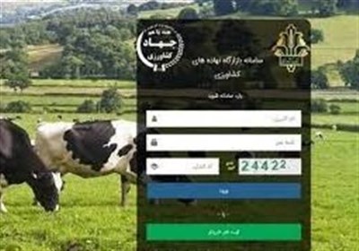 تشدید نظارت در بازارگاه؛ حساب متخلفان مسدود و پرونده‌ها به تعزیرات می‌رود