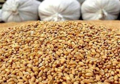 ادعای تعطیلی 75 درصد کارخانجات خوراک دام به دلیل نبوده نهاده