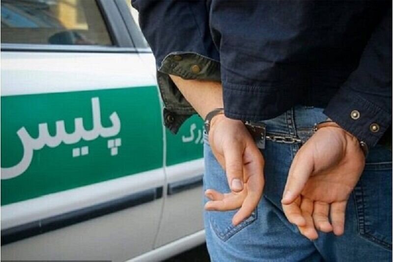 ضرب‌ و جرح زن سالخورده و سرقت میلیاردی توسط کارگر خدماتی