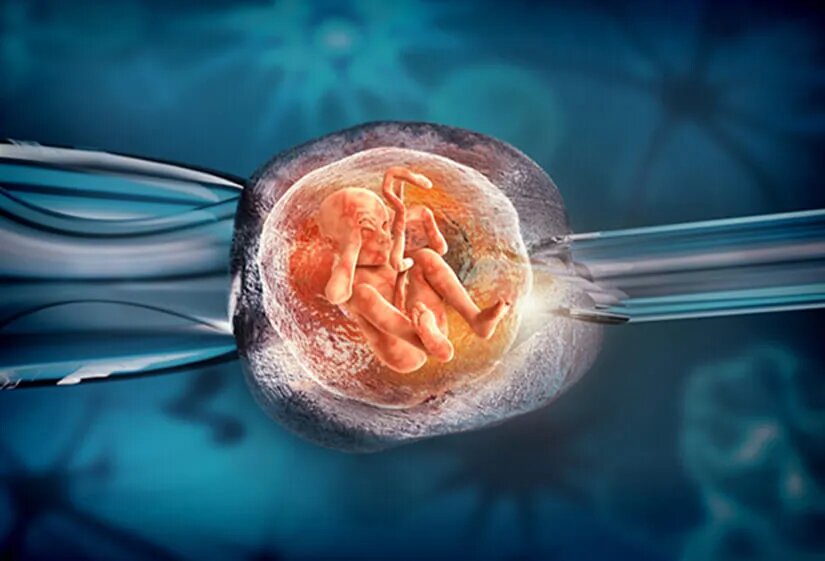 ۳ ترفند رایج در IVF که هنوز اثربخشیشان ثابت نشده است ۳ ترفند رایج در IVF که هنوز اثربخشیشان ثابت نشده است