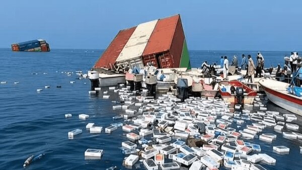 سرم آشفته صید است، دلم دلتنگ آیفونها سرم آشفته صید است، دلم دلتنگ آیفونها